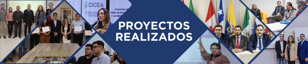 9. proyectos