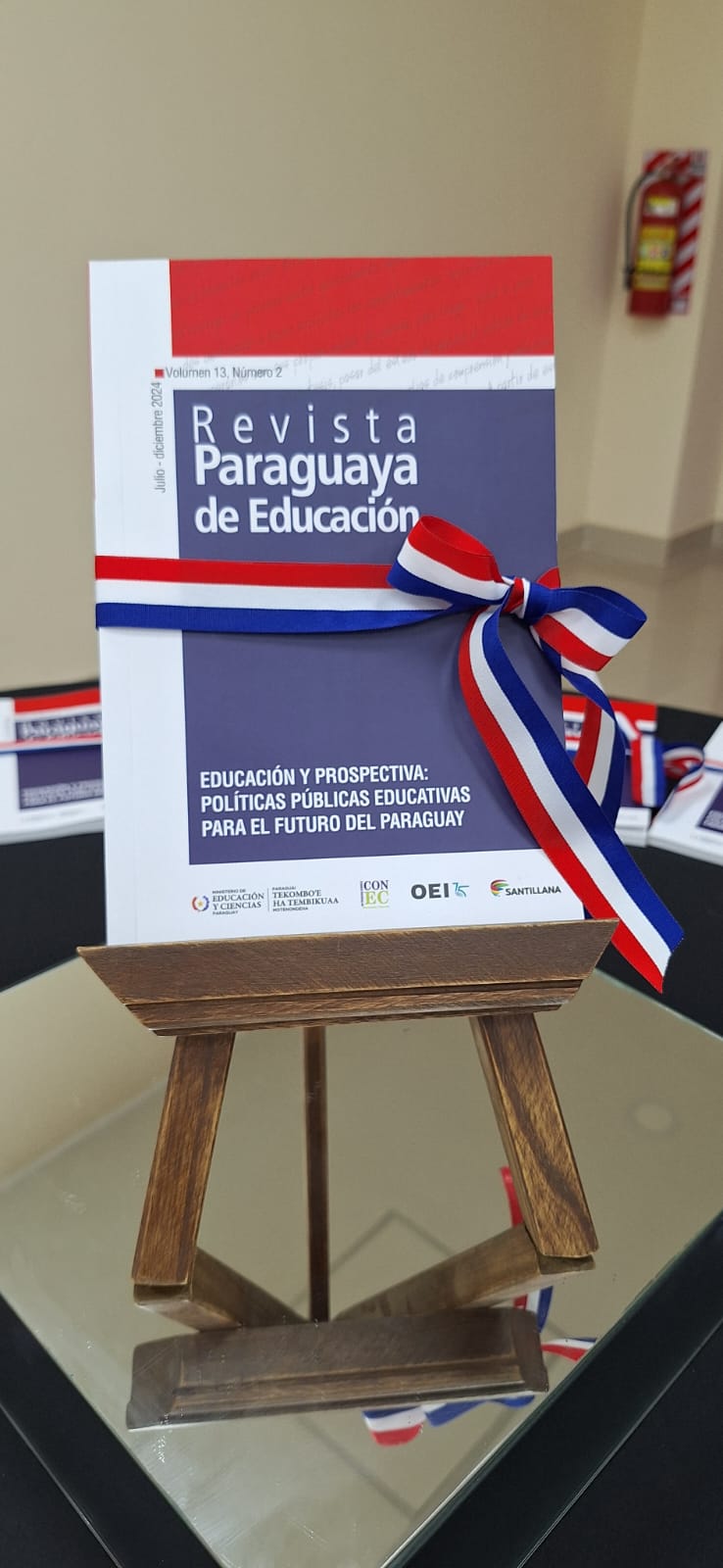 salud mental docencia